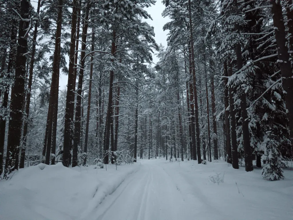Коттедж Домик в Снетково у озера — Ларионово