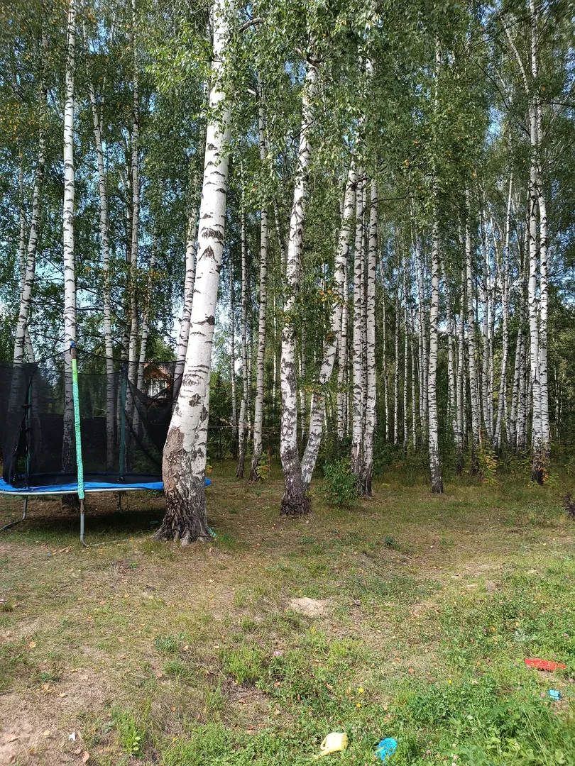 Вид одного из окон Вид одного из окон