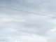 Алевтина
