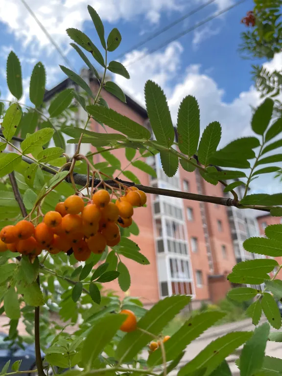 Квартира в ЖК Молодежный