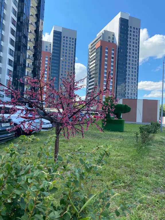 Уютная квартира в центре