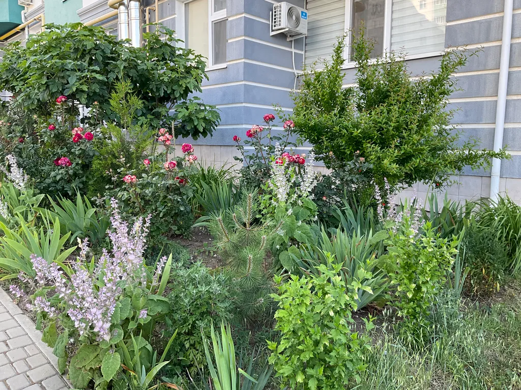 Удобная квартира с видом на море и горы