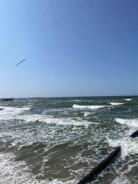 Комфортная квартира для отдыха у моря