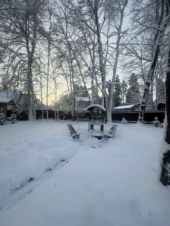 Дом в сосновом лесу