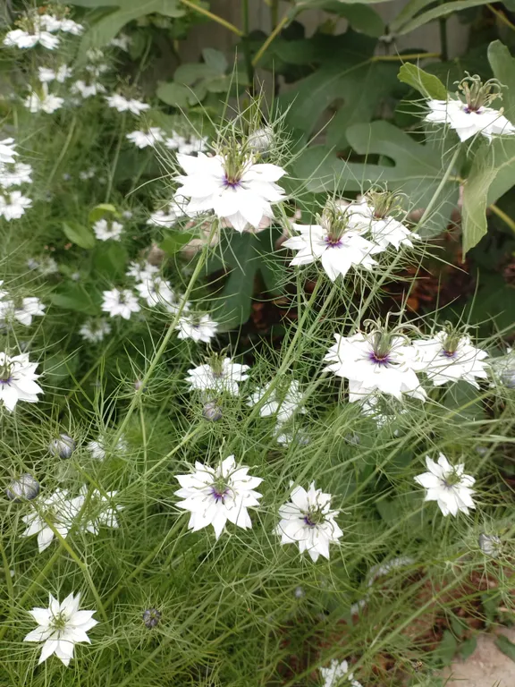 Семейный 3-х комнатный номер в тихом районе