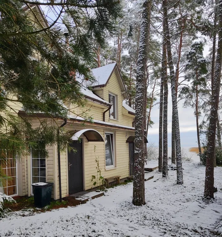 Коттедж 3-комнатный Дом — аренда посуточно в Лесной