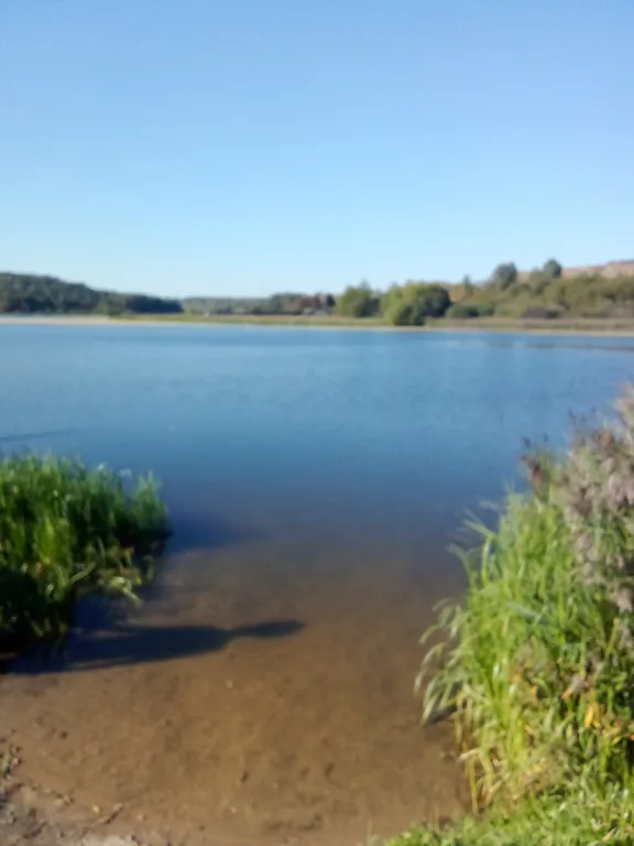 Коттедж на реке