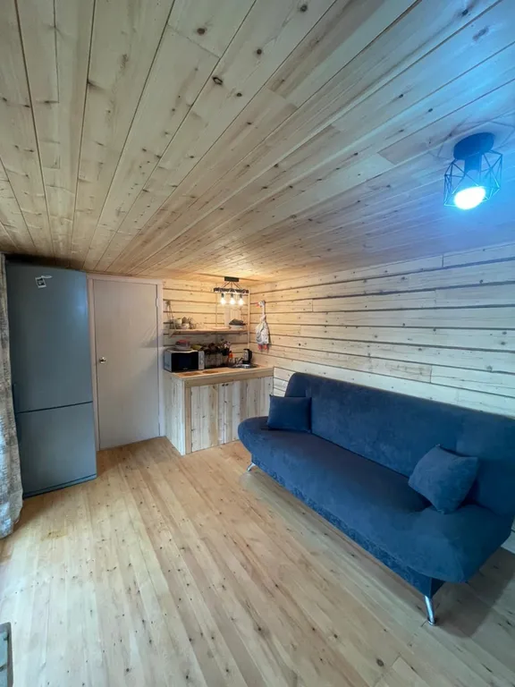 Уютный дом рядом с лесом