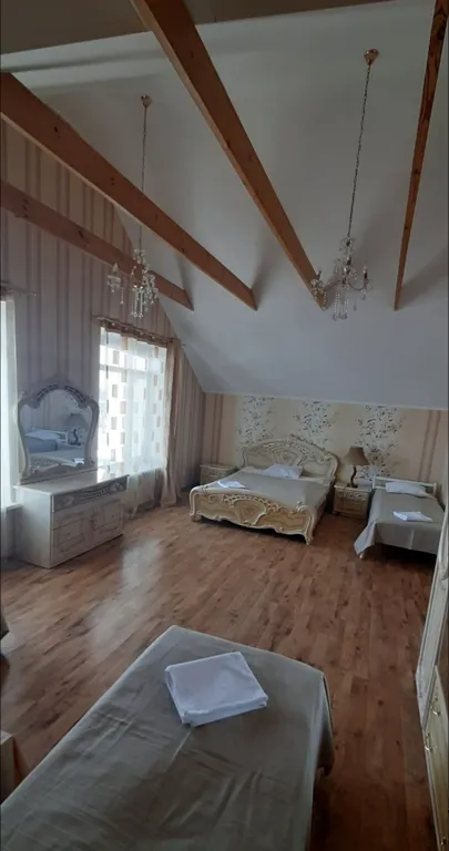 Коттедж Огромный коттедж с бассейном и баней — Богородск