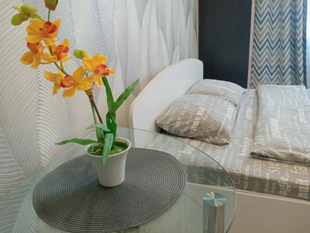 Квартира у Глобуса