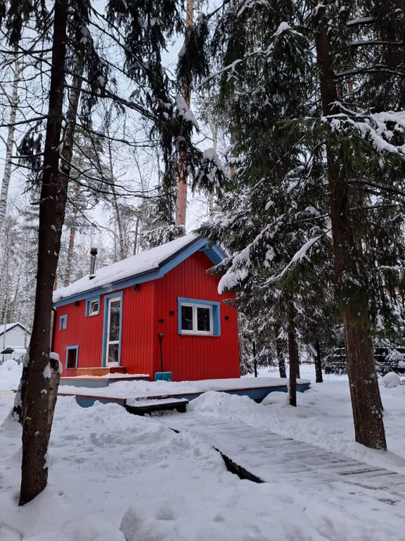 Барнхаус в лесу с розовой гостиной
