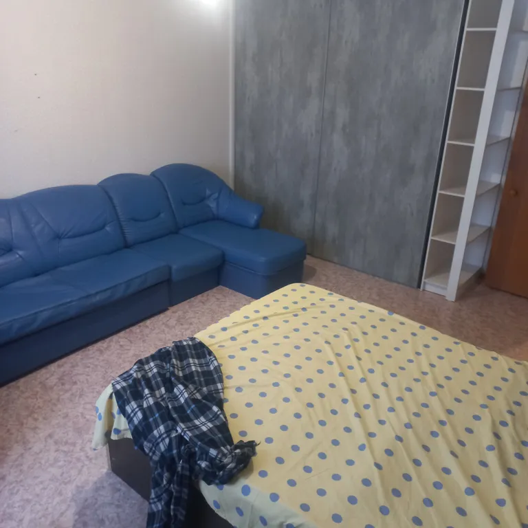 Квартиру на Планете, возле дворца борьбы и ТЦ Планета