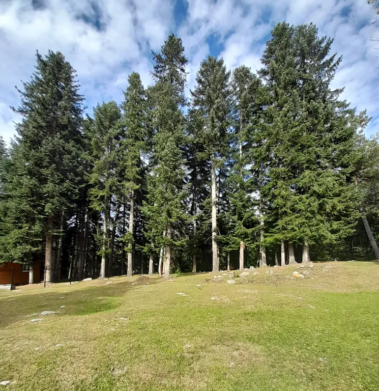 Шале с видом на горы