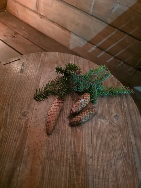 Треугольный дом шале