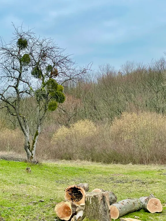 Серёжкино маленький домик