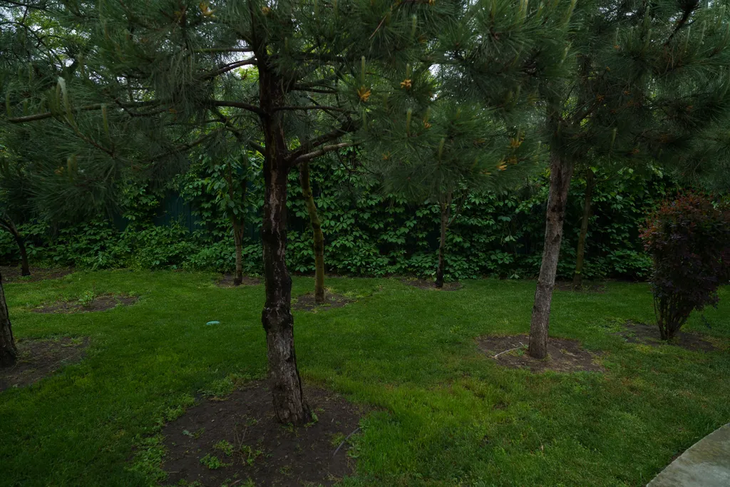 Загородный дом-шале "Pinebrook", аренда, у реки Дон. Сезонный бассейн.