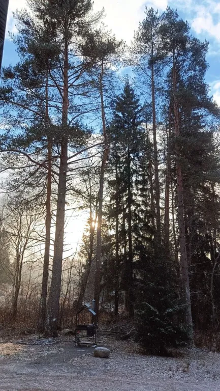 Новый гостевой дом и баня у Горного парка