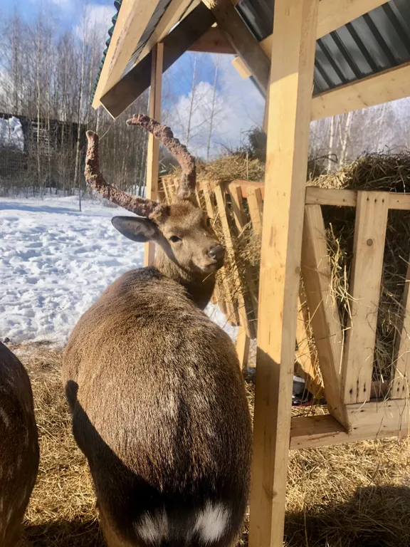 Уютный дом у Рузского водохранилища
