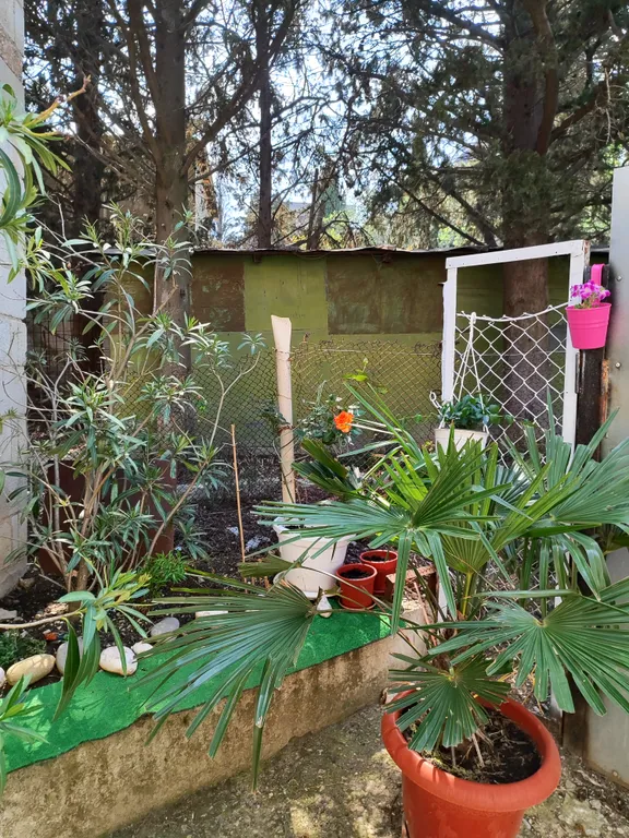 Квартира 2-комнатная Квартира — Кацивели