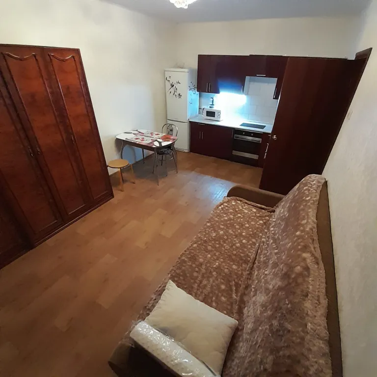 Однокомнатная квартира по типу евродвушки