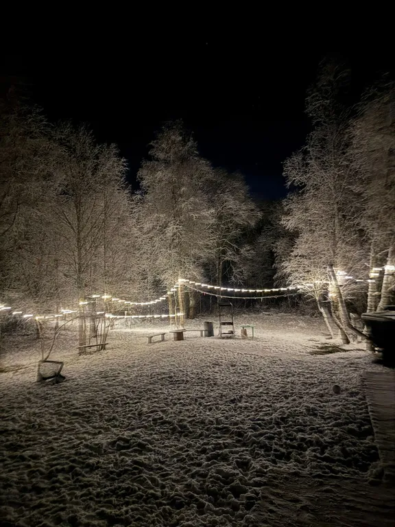 Просторный дом с видом на настоящий лес