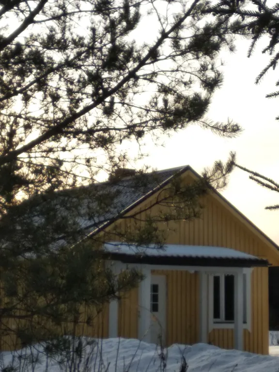 Дом в Карелии с печью-камином и видом на лес