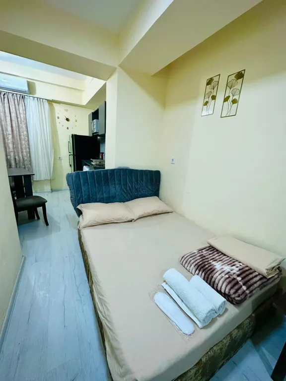 Квартира В центре рядом с музеем Сергея Параджанова — аренда посуточно в Ереван