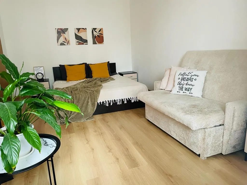 Квартира Апартаменты у НИИ Петрова — Песочный