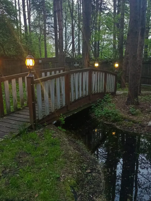 Уютный коттедж в сосновом лесу рядом с Москвой