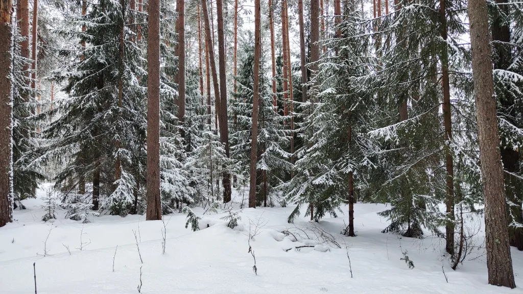 Коттедж Новый дом у озера с бесплатным бильярдом, рядом с турбазой Чайка — Ланино