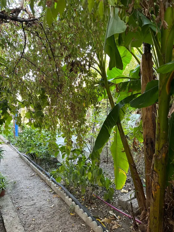 Квартира Квартира Частный сектор на берегу моря — Сириус