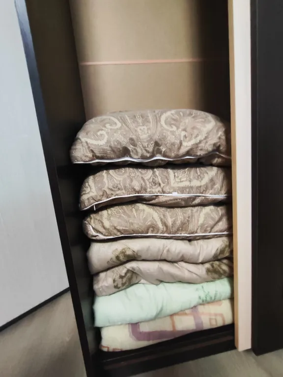 Новая квартира в новом районе Снеговая падь