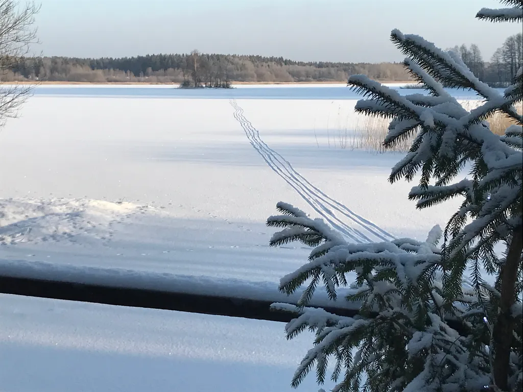 Чудесное место у озера с камином и русской баней