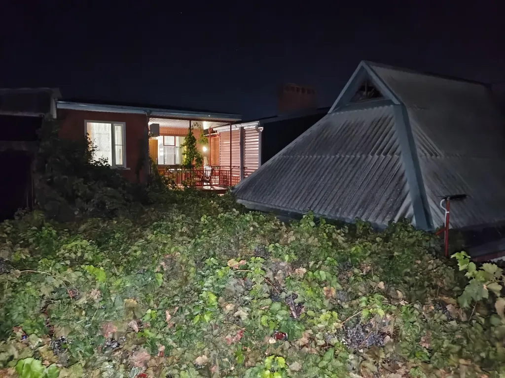 Номер со своей территорией для отдыха под навесом