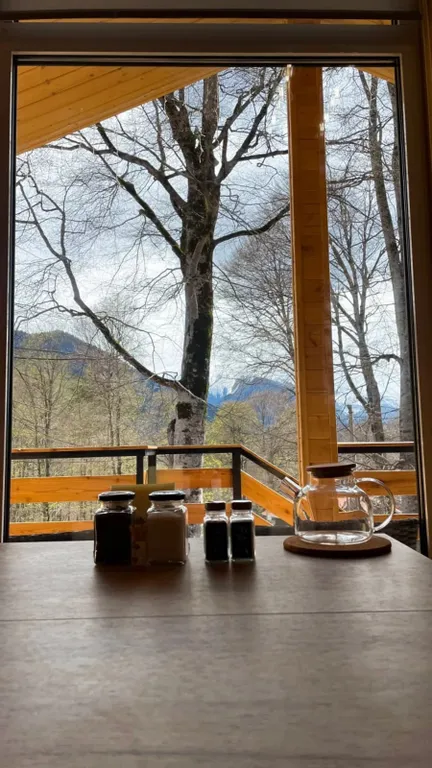 Большой дом до 6 человек