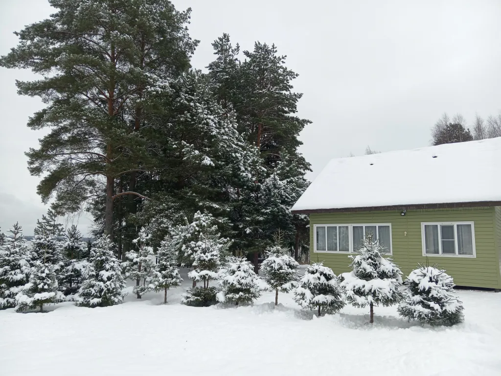 Коттедж Дом на озере Волго — Казаково