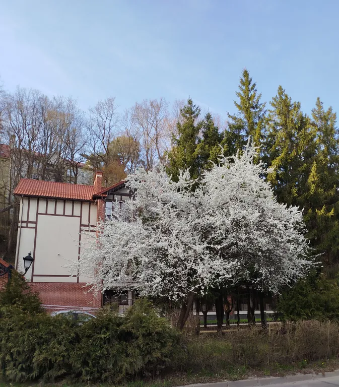 Квартира Уютная квартира недалеко от моря — Светлогорск