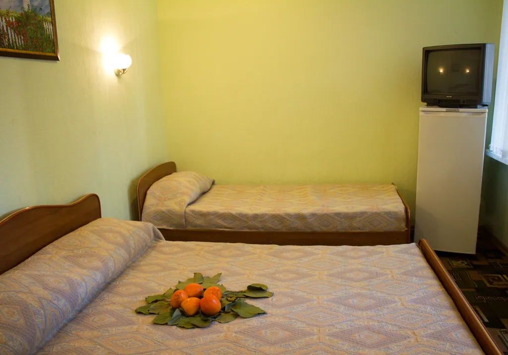 Квартира Комната — аренда посуточно в Гагра