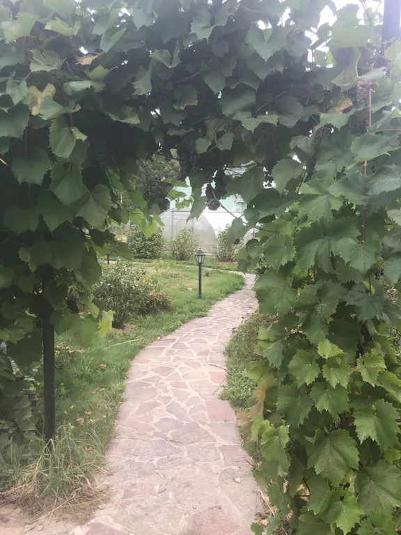 Гостевой дом в заповедной зоне Поленово