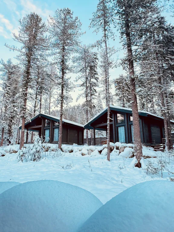 Коттедж Шале светлый — аренда посуточно в Артыбаш