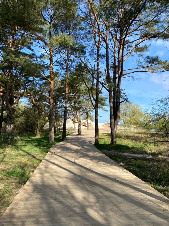 Квартира Уютная квартира у моря — Зеленоградск