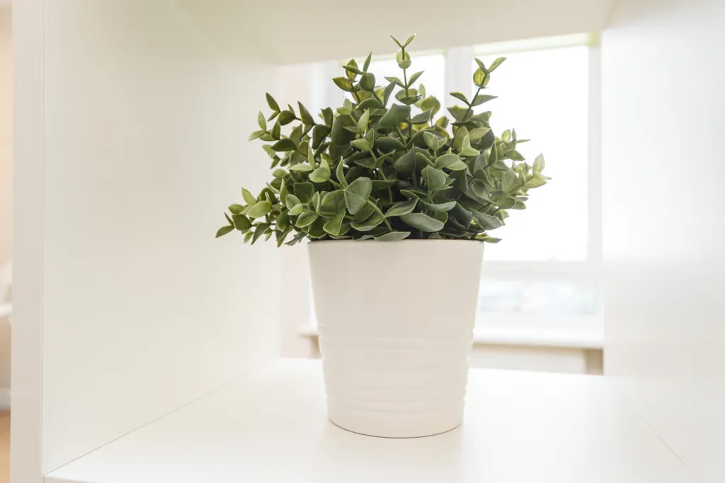 ДзенХоум Процветание