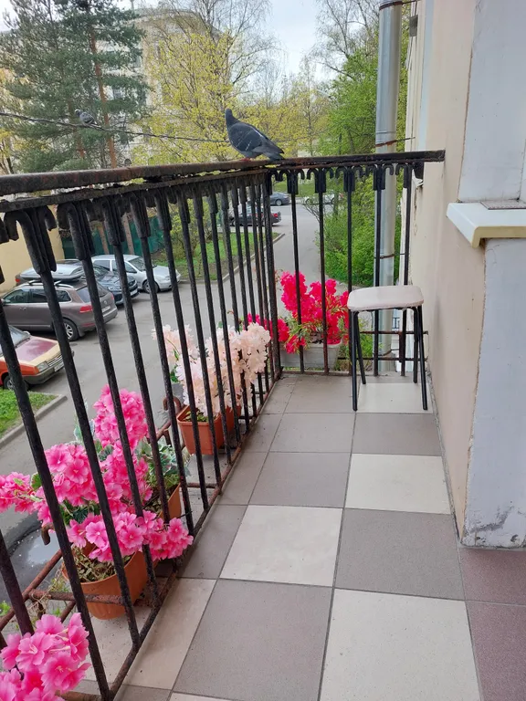 Квартира Атмосферная квартира в центре Царского Села — Пушкин