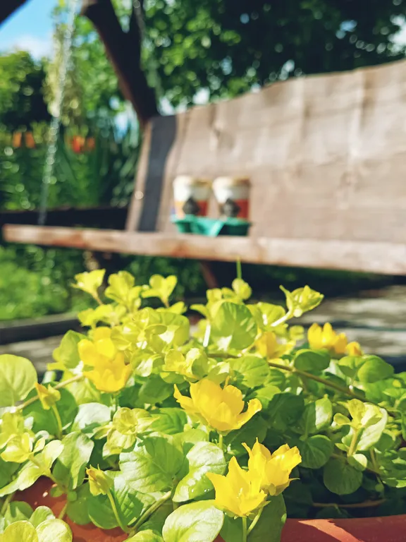 Коттедж-студия с видом на горы