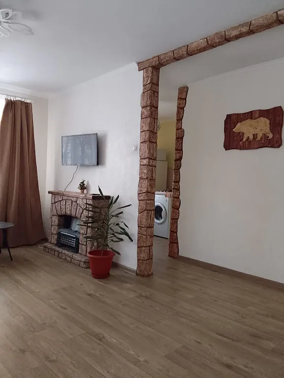 Уютная однокомнатная квартира в центре