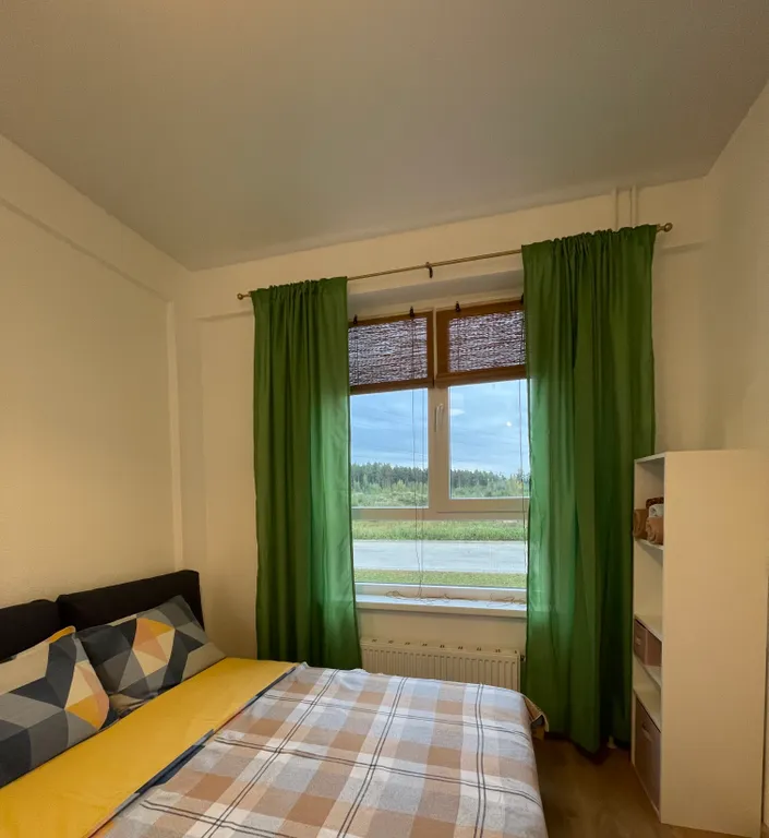 Студия в сосновом лесу