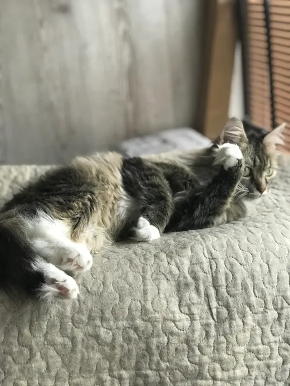 Квартира Весь второй этаж двухуровневой квартиры — Зеленоградск