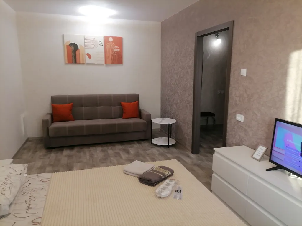 Однокомнатная квартира на Телецентре