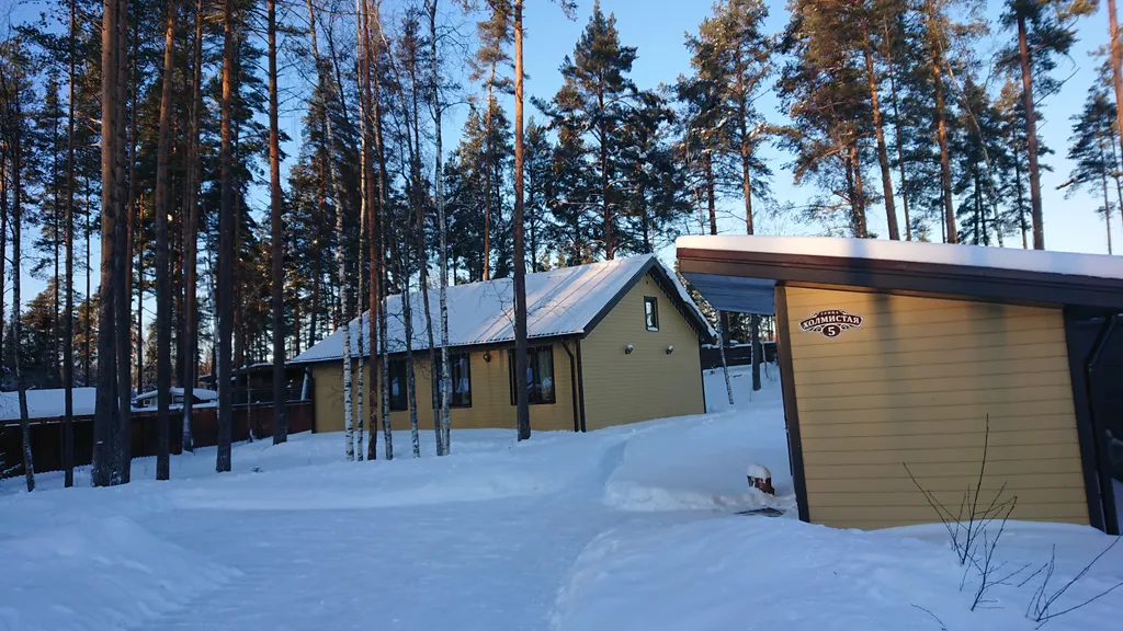Дом с камином и панорамными окнами в сад