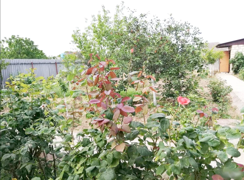 Загородный дом